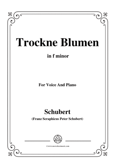 Schubert-Trockne Blumen,from 'Die Schöne Müllerin',Op.25 No.18,in f minor,for Voice&Piano (arr. MSM)