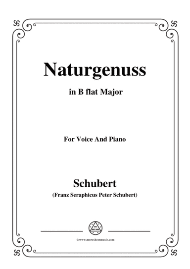 Schubert-Naturgenuss,in B flat Major,for Voice&Piano (arr. MSM)