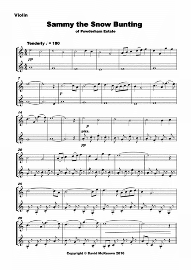 6 Concert Duets for Violin in a Classical Style