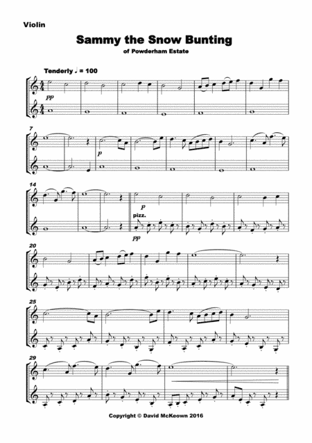 6 Concert Duets for Violin in a Classical Style