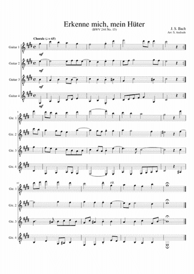Bach Erkenne mich, mein Hüter (arr. S. Andrade)