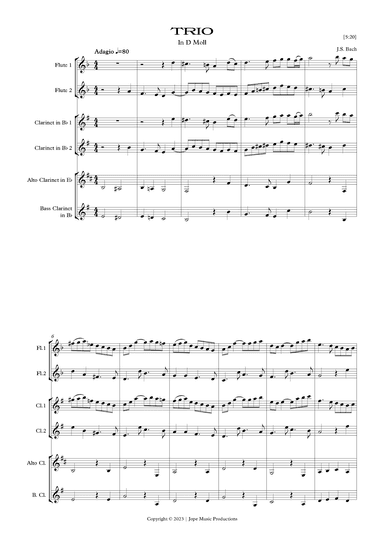 Trio in D-Moll (arr. Jope)