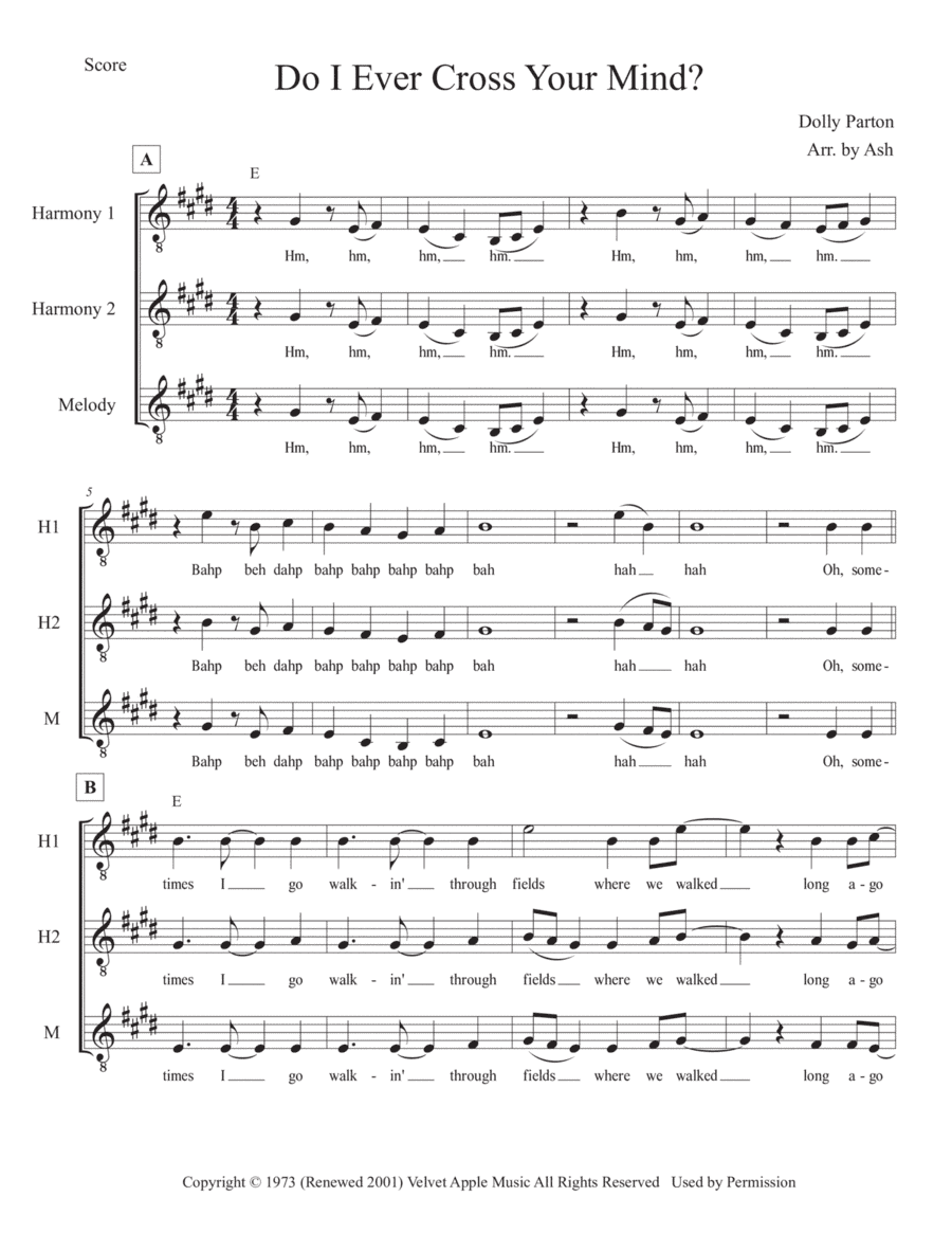 Do I Ever Cross Your Mind (arr. Ash)