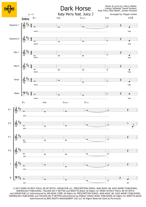 Dark Horse (arr. Rogier Ijmker)