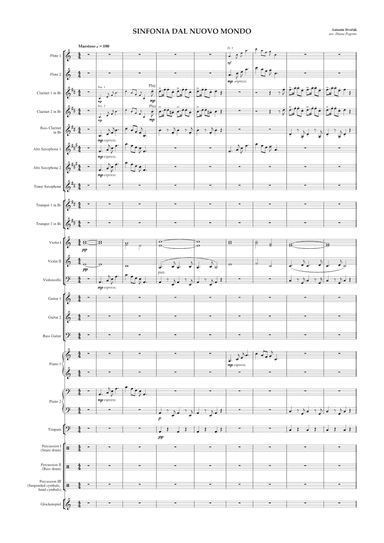 Symphony n°9 "From the New World" (arr. Diana Pagotto)