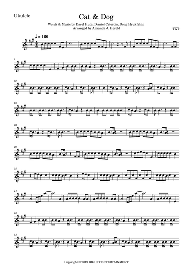 Cat & Dog (arr. Amanda's Music Channel)