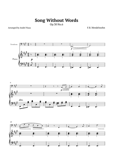 Song Without Words Op.30 No.6 (arr. André Nusa)