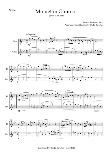 Minuet in G minor BWV anh 115 (Bach) Flute and Oboe (arr. Cadu Barcelos)