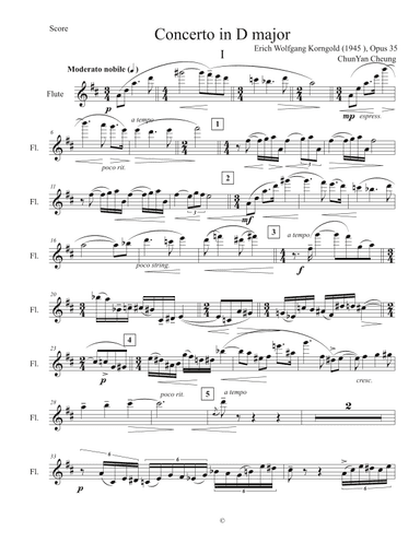 I. Moderato nobile in Violin Concerto in D major, Op.35 (arr. ChunYan Cheung)