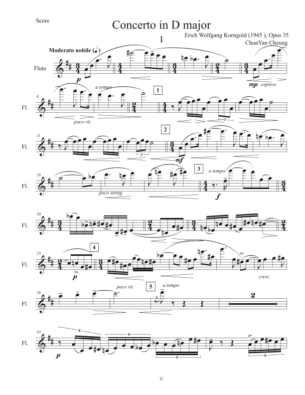 I. Moderato nobile in Violin Concerto in D major, Op.35 (arr. ChunYan Cheung)