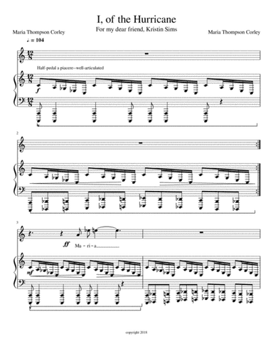 I, of the Hurricane from "Grasping Water" (low key)