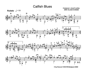 Catfish Blues