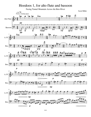 Hoodoos 1, for alto flute and bassoon