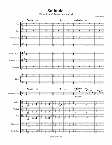 Solitude (for cello and chamber orchestra)