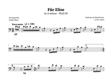 Fur Elise | BASS CLEF (arr. Valdir Maia)