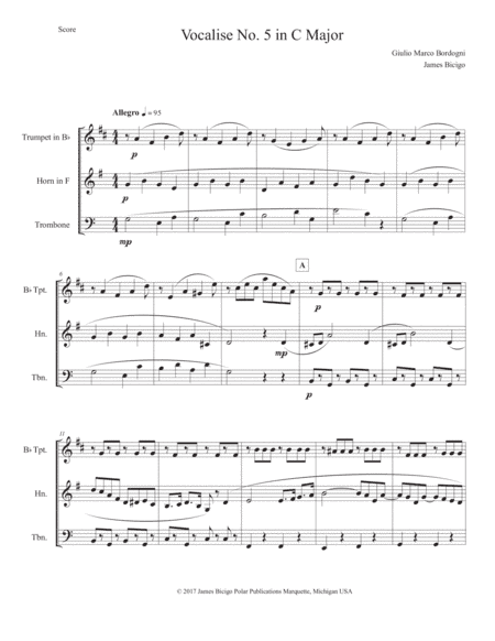 Vocalise No. 5 in C Major (arr. James Bicigo)