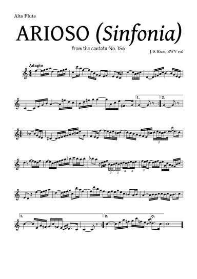 ARIOSO, by J. S. Bach (sinfonia) - for Alto Flue and accompaniment (arr. Leyandder Trustworthy)