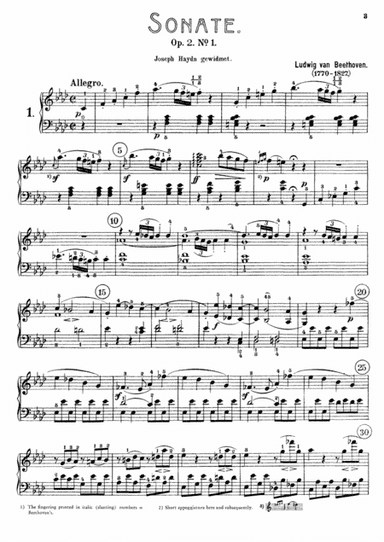 Beethoven - Piano Sonata No.1, Op.2 No.1 (arr. Wesley Mekilis)