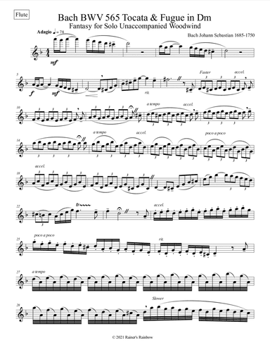 Bach BWV 565 Tocata & Fugue in Dm Fantasy Unaccompanied Flute or Oboe or Sax (arr. R G Roth)
