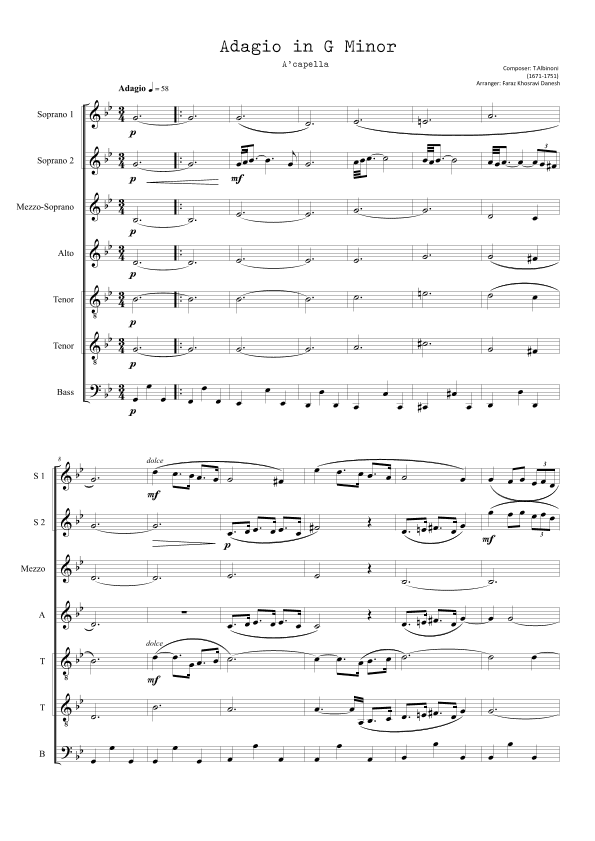 Adagio in G minor (arr. Faraz Khosravi Danesh)