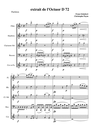 Schubert Octuor for winds D72 - woodwind quintet (arr. Christophe Paym)
