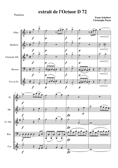 Schubert Octuor for winds D72 - woodwind quintet (arr. Christophe Paym)