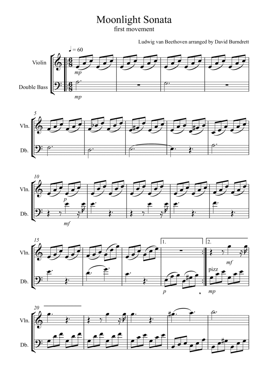 Moonlight Sonata (1st movement) for Violin and Double Bass Duet (arr. David Burndrett)