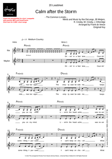 Calm After The Storm (arr. Frank de Vreeze)