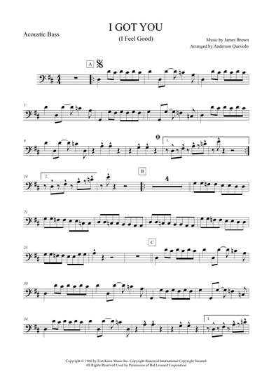 I Got You (i Feel Good) (arr. Anderson Quevedo)