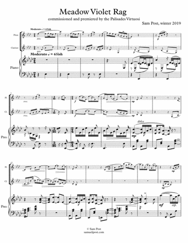 Meadow Violet Rag, op. 45