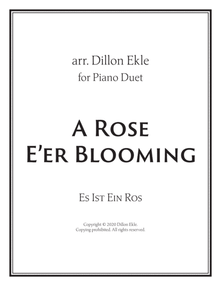 A Rose E'er Blooming (arr. Dillon Ekle)