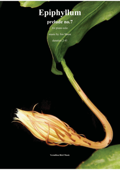Epiphyllum - prelude no.7