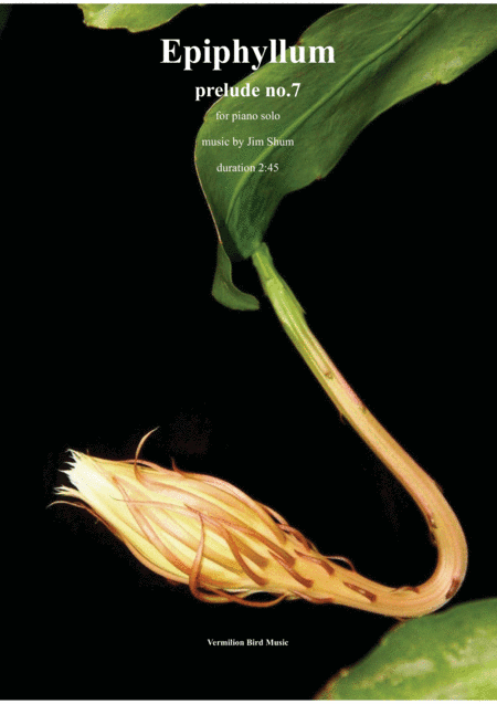 Epiphyllum - prelude no.7