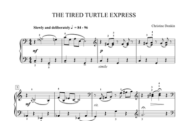 The Tired Turtle Express