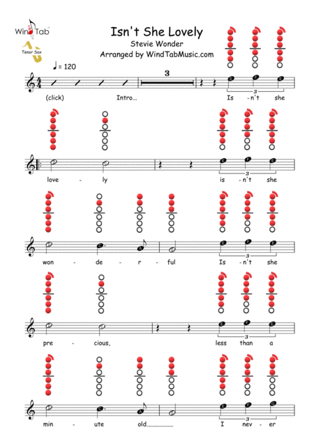 Isn't She Lovely (arr. WindTab)