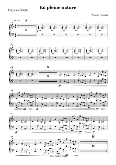 En Pleine Nature/Electric Organ PART
