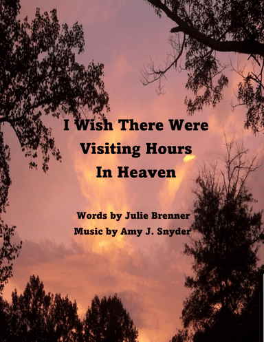 I Wish There Were Visiting Hours in Heaven