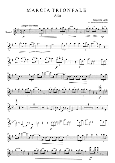 "Triumphal March" - Aida - C Flute Choir (arr. Antonio Di Giamberardino)