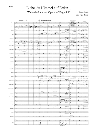 Liebe , du Himmel auf Erden (arr. Nejc Bečan)
