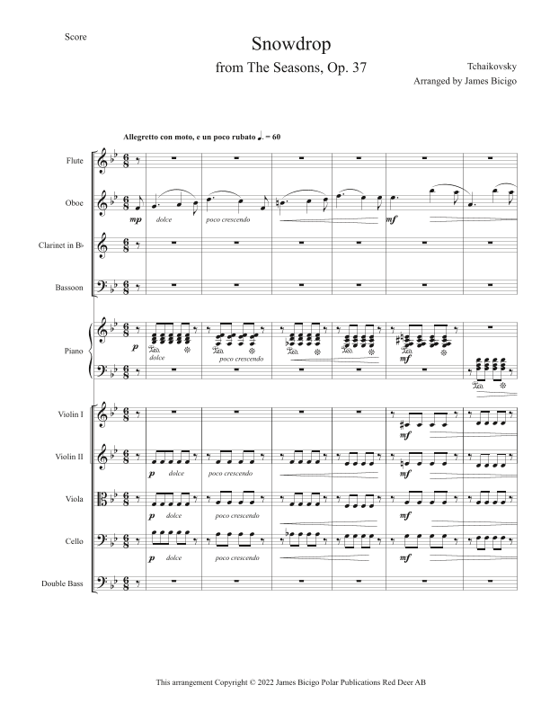 Three Winter Movements from The Seasons, Op. 37 (arr. James Bicigo)