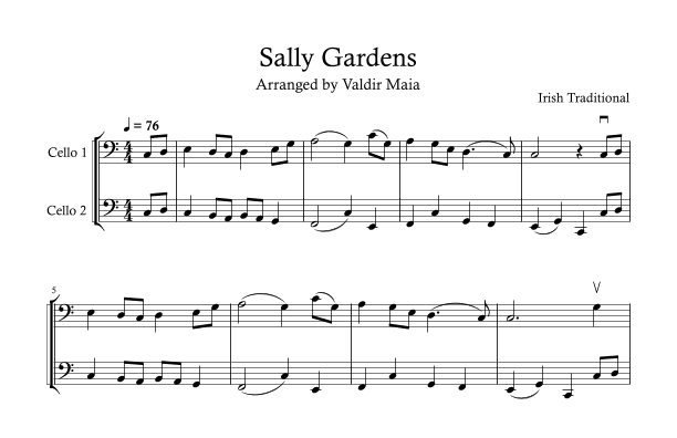 Sally Gardens - Cello Duo (arr. Valdir Maia)
