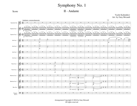 Mvt II - Andante from Symphony No. 1 (arr. Gary Bricault)