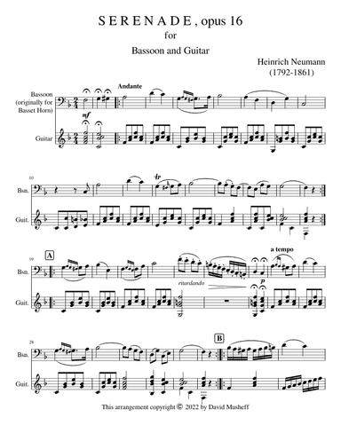 Serenade, opus 16 for Bassoon and Guitar (arr. D. Musheff)