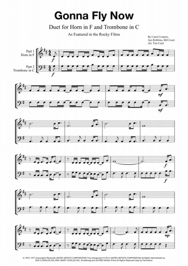 Gonna Fly Now (arr. Tim Curd)