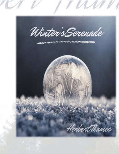 Winter's Serenade