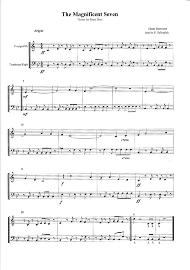 The Magnificent Seven (arr. P.Selwesiuk)