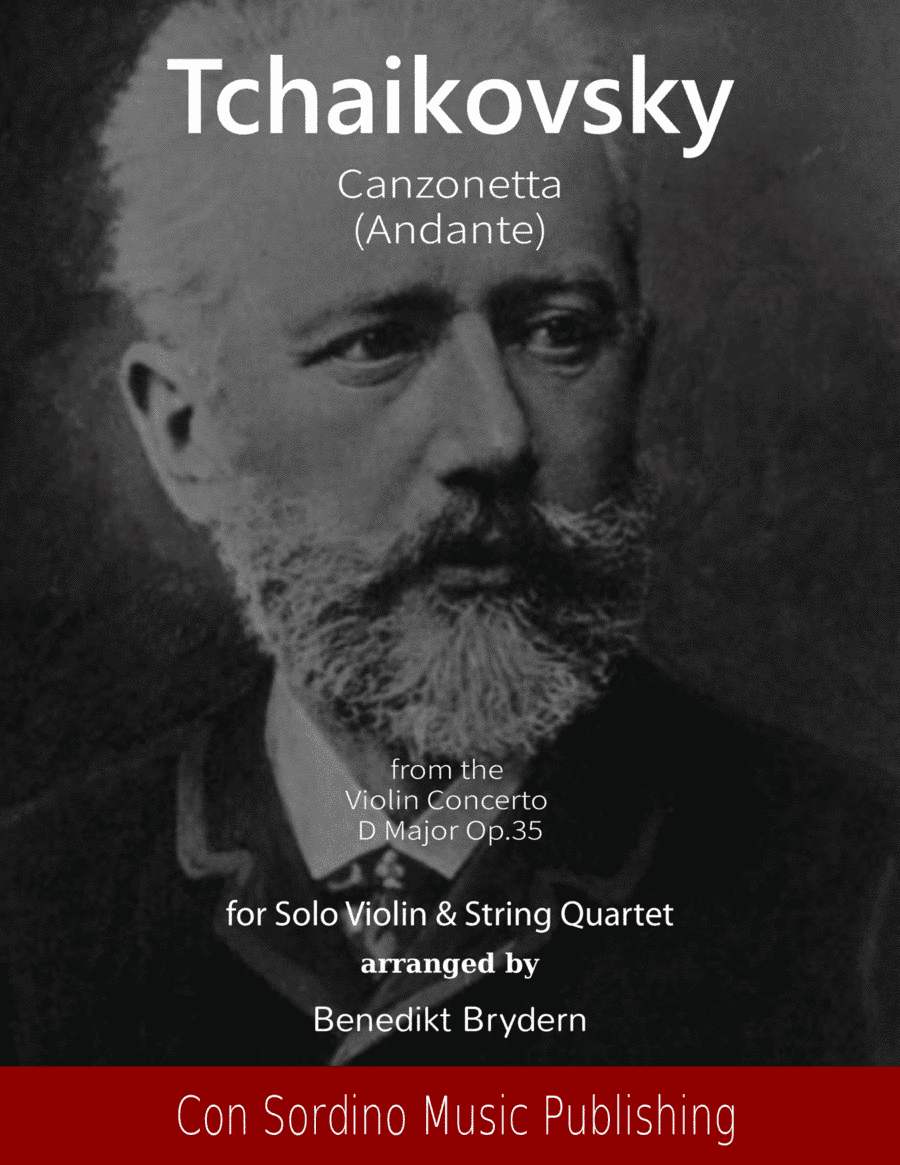 Canzonetta (Andante) from Violin Concerto D Major (arr. Benedikt Brydern)