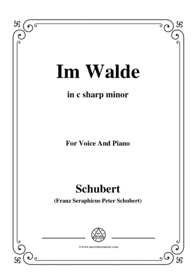 Schubert-Im Walde,Op.93 No.1,in c sharp minor,for Voice&Piano (arr. MSM)