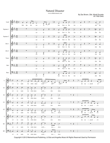 Natural Disaster (arr. Rob Dietz)