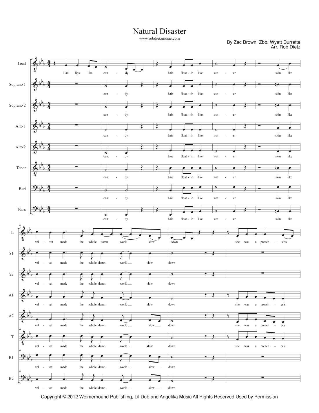 Natural Disaster (arr. Rob Dietz)